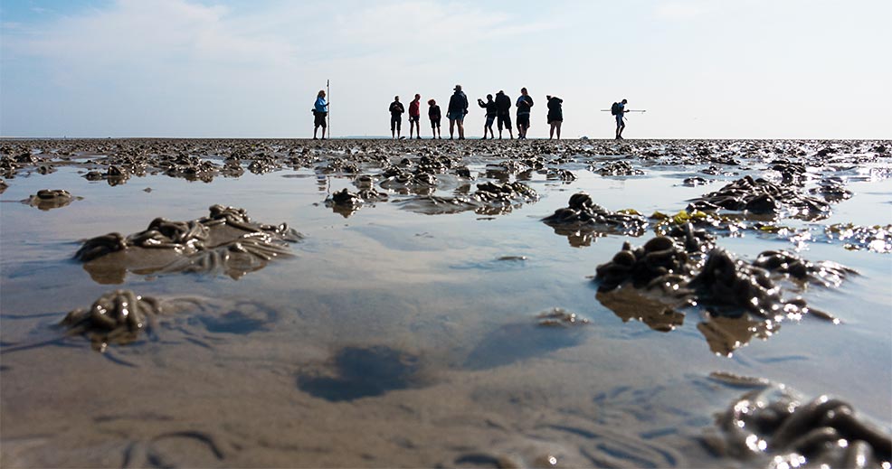 Ein schöner Tag am Wattenmeer
